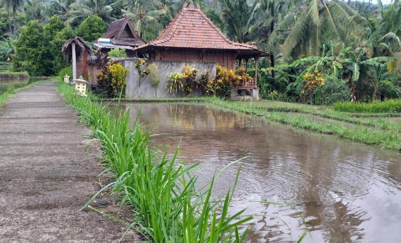 חדר סטנדרט, Uma Nirmala Aling Aling