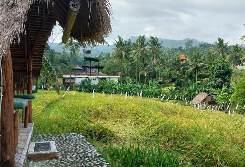 חדר סטנדרט חדר אמבטיה משותף, Uma Nirmala Aling Aling