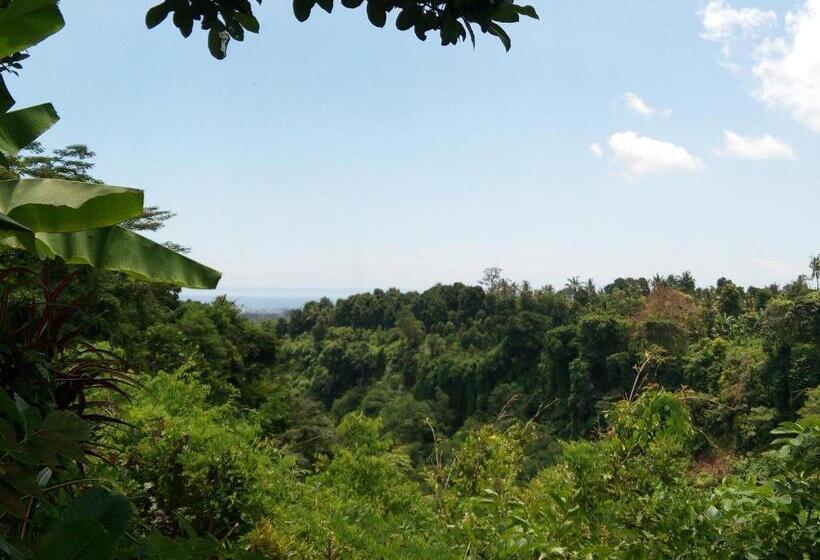 חדר סטנדרט חדר אמבטיה משותף, Uma Nirmala Aling Aling