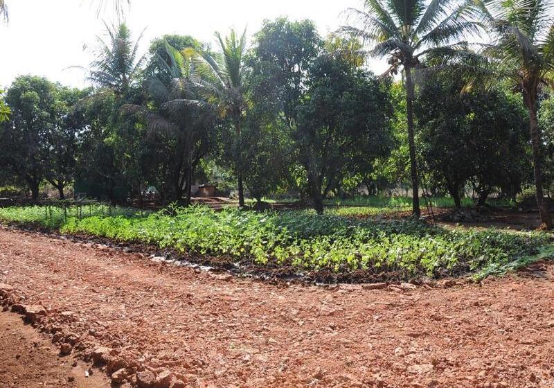בונגלו סטנדרט עם נוף לגינה, Red Roof Farmhouse