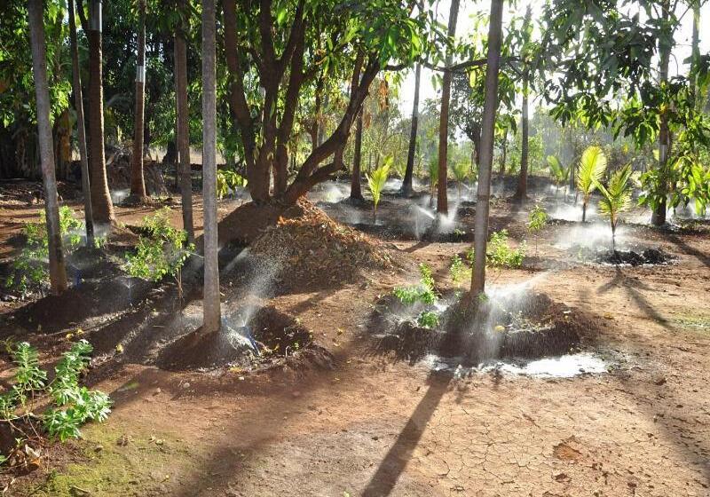 בונגלו סטנדרט עם נוף לגינה, Red Roof Farmhouse