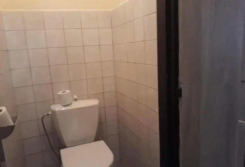 Standard-huone, Penzion Přívoz