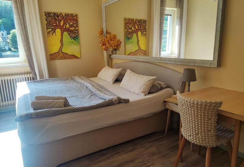 スタンダードルーム, Penzion Přívoz