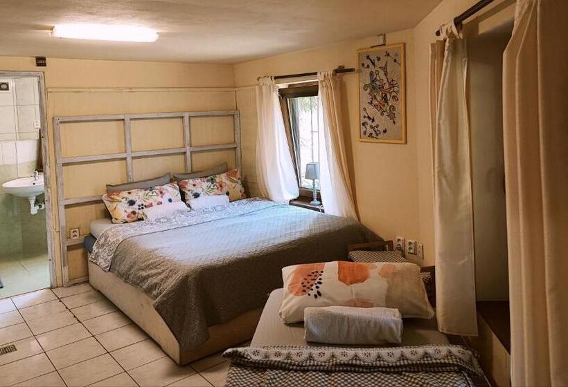 テラス付スタンダードルーム, Penzion Přívoz