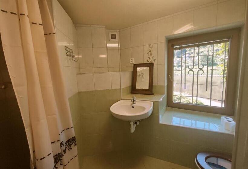 テラス付スタンダードルーム, Penzion Přívoz