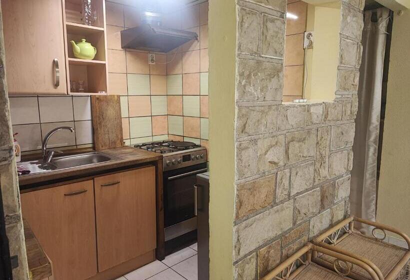 テラス付スタンダードルーム, Penzion Přívoz