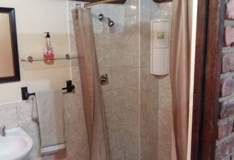 スタンダード４人部屋, Pride Rock Accommodation