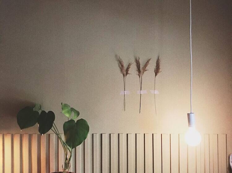 חדר סטנדרט, Pensionatet