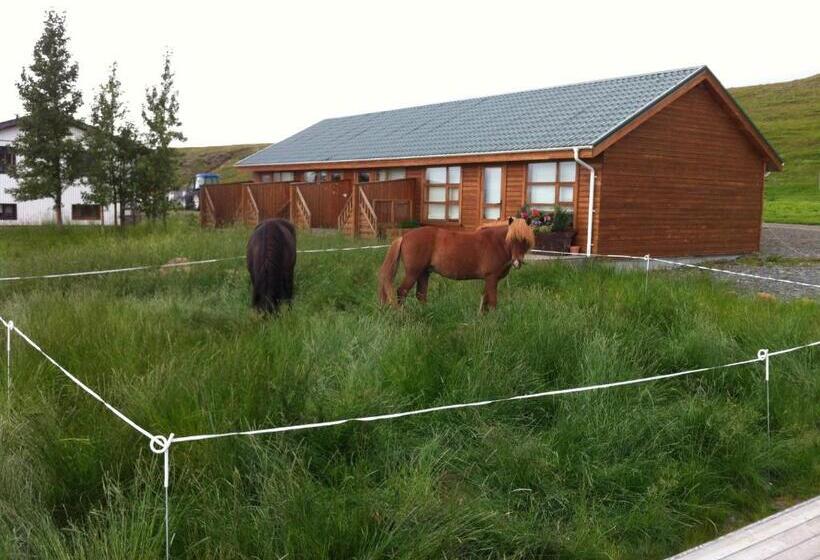 اتاق استاندارد, Midsitja