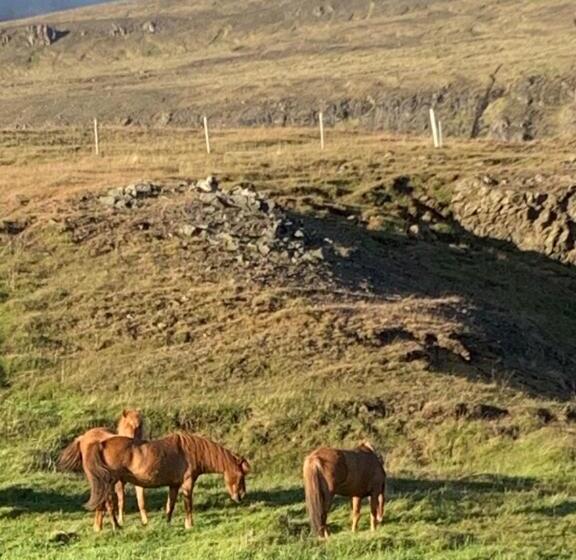 اتاق استاندارد, Midsitja