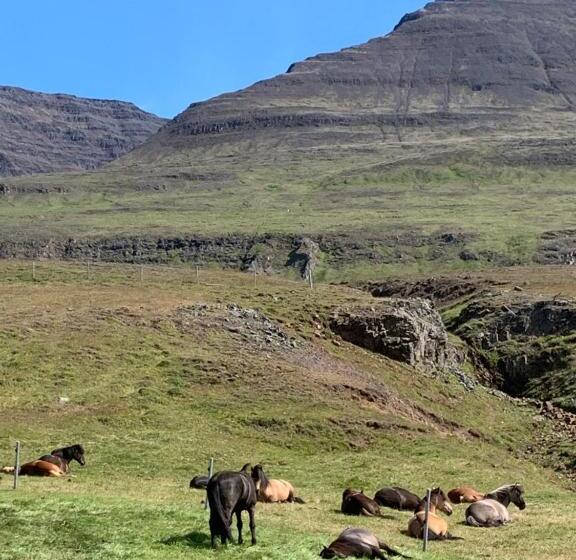 اتاق استاندارد, Midsitja