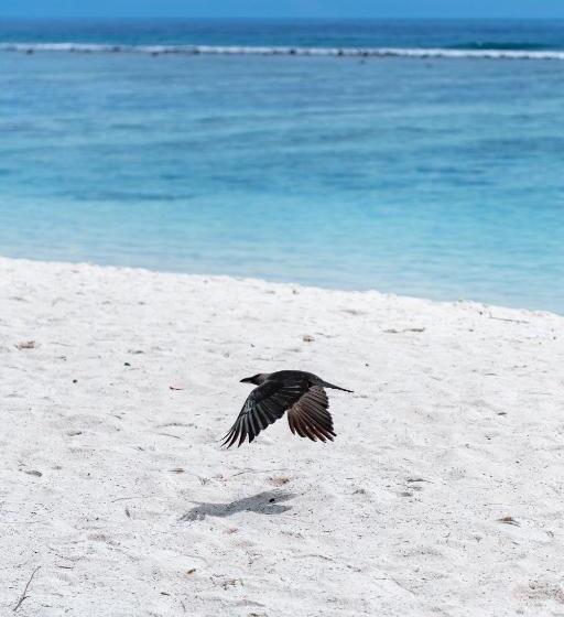 غرفة ديلوكس مطلّة علي البحر, Express Inn At Hulhumale