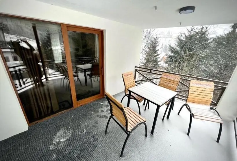 Apartament 1 Dormitor Deluxe, Viktan