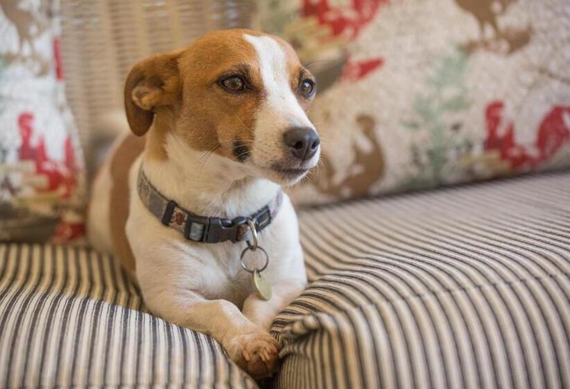 חדר סטנדרט, Lavender Trout Guest Farm