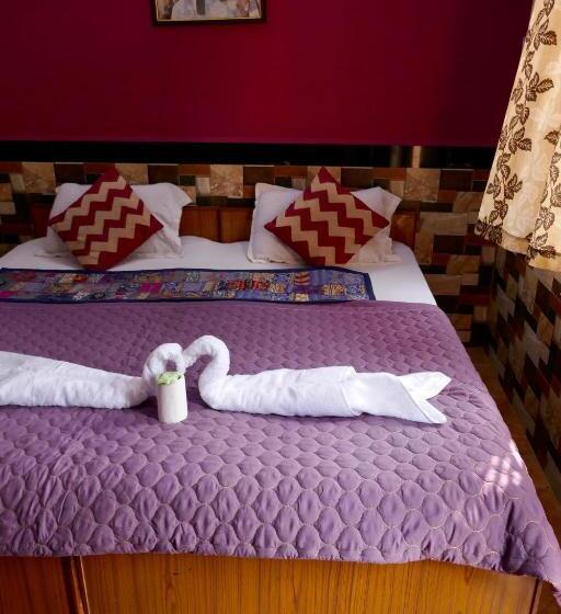 اتاق اکونومی, Crazy Camel Hotel & Safari