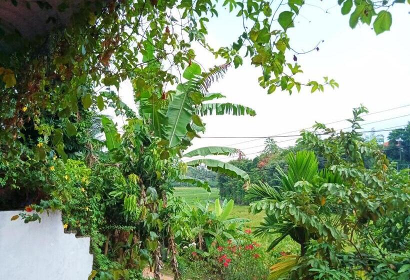 غرفة قياسية مطلّة علي الحديقة, Green View Guest