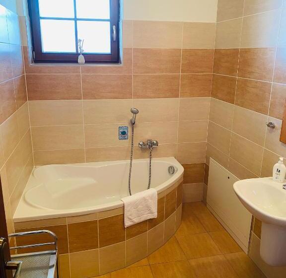 اتاق استاندارد, Vila Mlynica