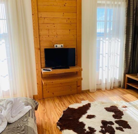 اتاق استاندارد, Vila Mlynica