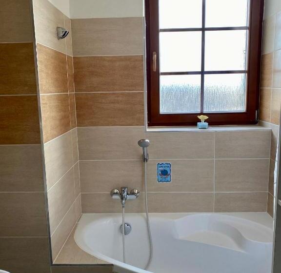 آپارتمان دوبلکس 1 خوابه, Vila Mlynica