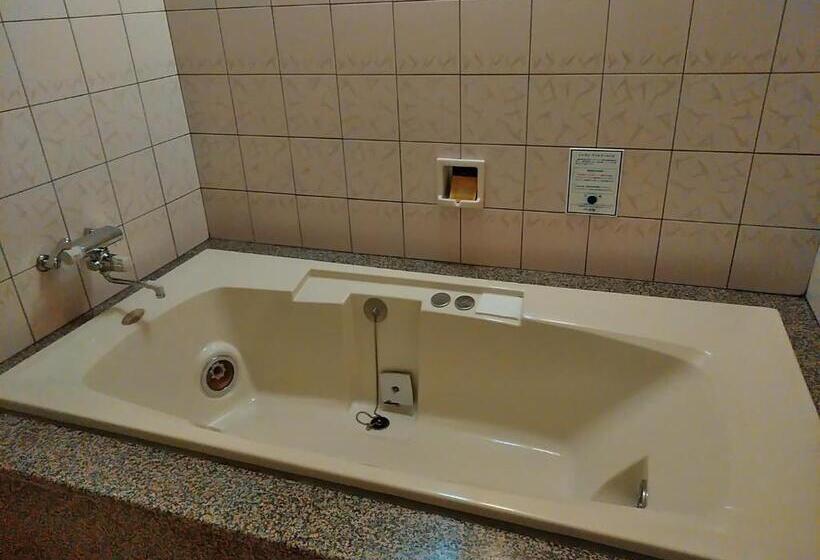 غرفة قياسية, Liberty Kochi