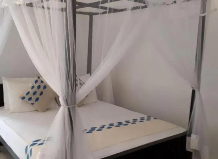 デラックスルーム, Apna Homestay Apartments