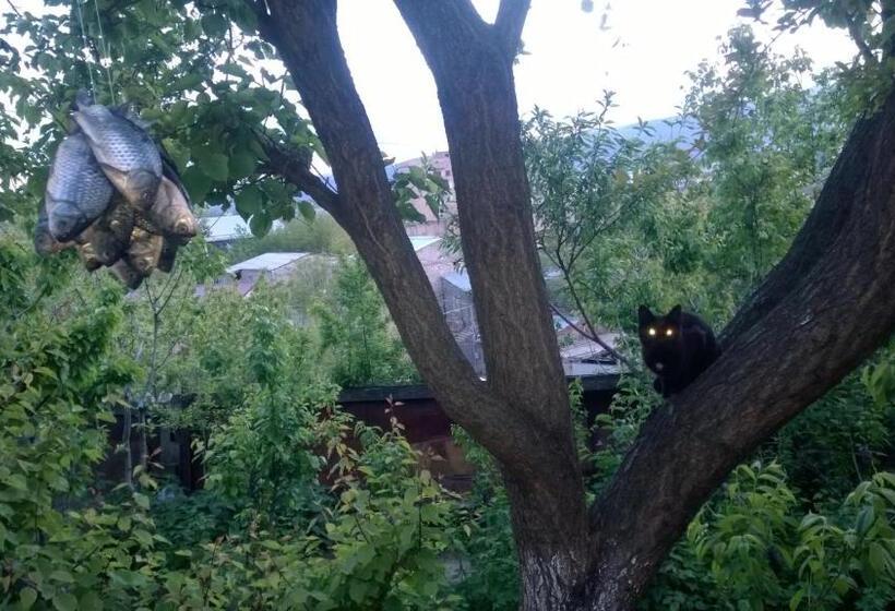 اتاق اکونومی, Guest House Edem