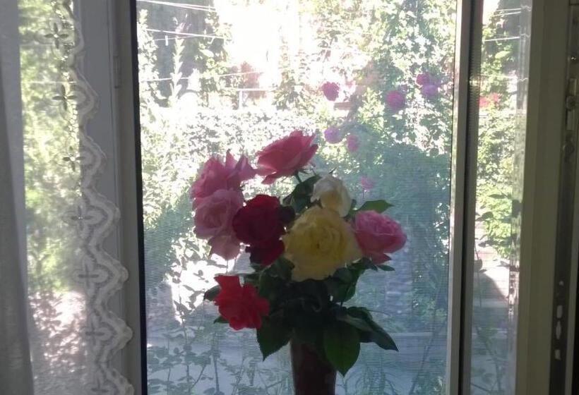 اتاق لوکس, Guest House Edem