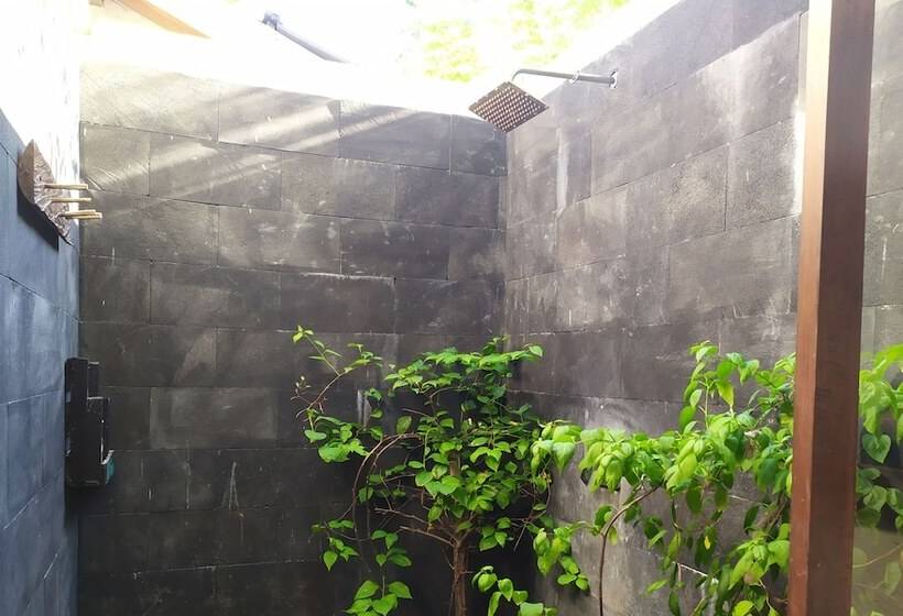 スーペリアールーム, The This Kon Gili Meno