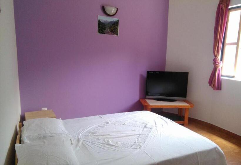 اتاق خانوادگی, Damontanha