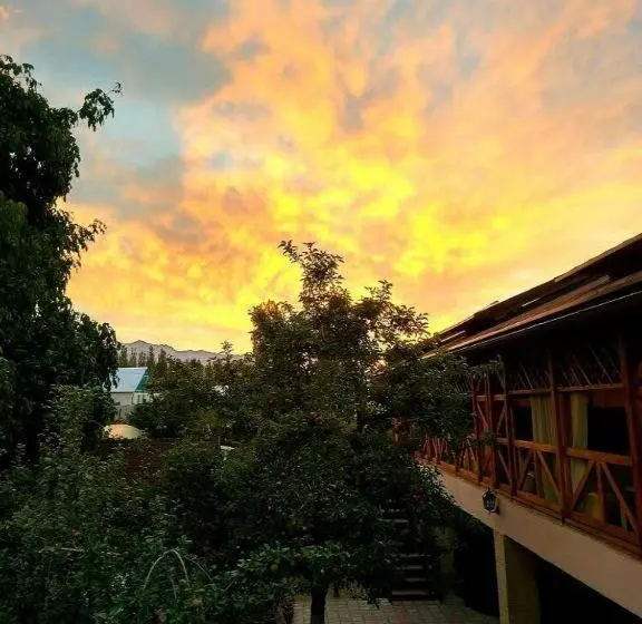 اتاق استاندارد چهار تخته, Guest House Albatros