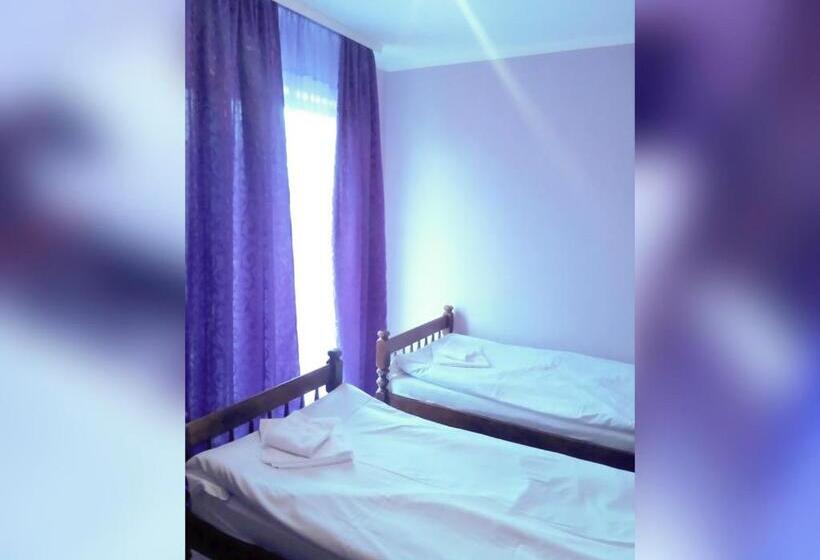 اتاق استاندارد با سرویس بهداشتی مشترک, Villa Vlasta
