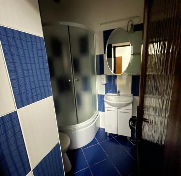 Номер Стандарт Четырехместный Совместный Санузел, Pensiunea Nico Pardon