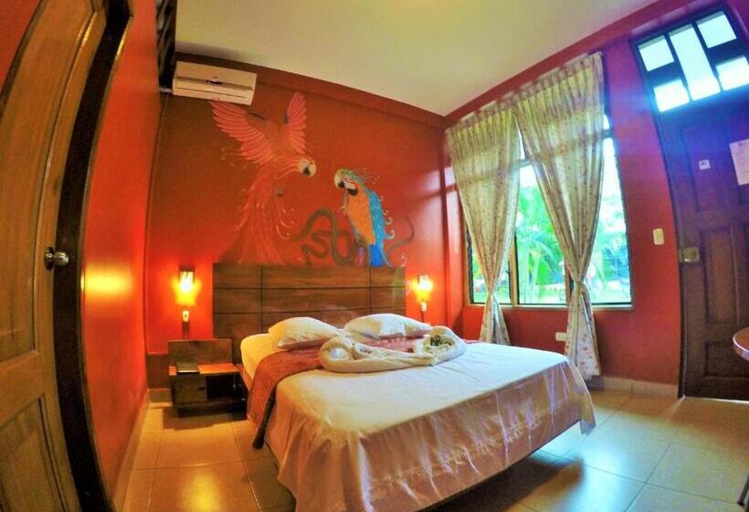 חדר סטנדרט, Amazon City