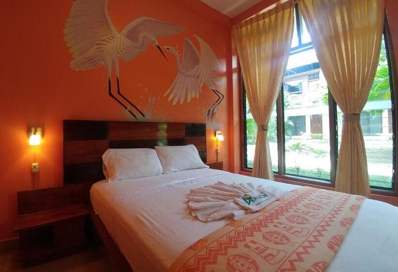 חדר סטנדרט, Amazon City