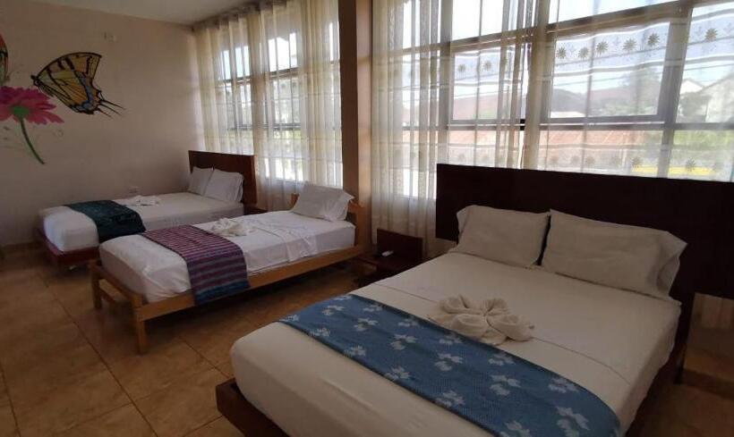 חדר סטנדרט לשלושה, Amazon City