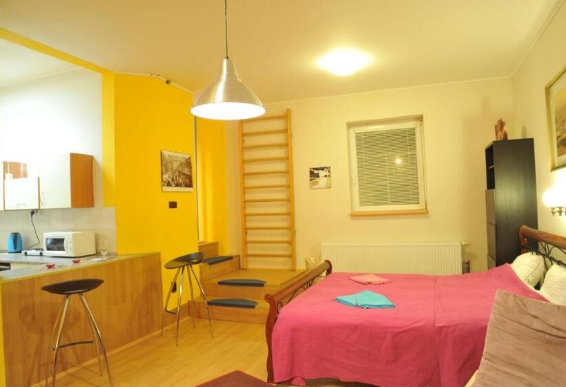 جناح جونيور مزوَّد بتراس, Penzion Libertas Mariánské Lázně