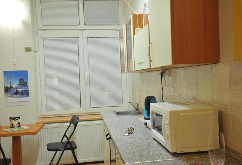 جناح جونيور مزوَّد بتراس, Penzion Libertas Mariánské Lázně