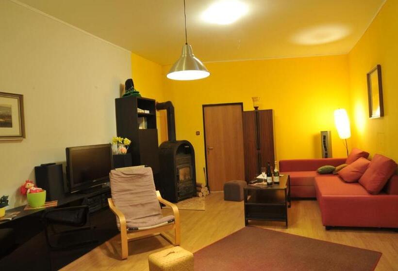 جناح جونيور مزوَّد بتراس, Penzion Libertas Mariánské Lázně