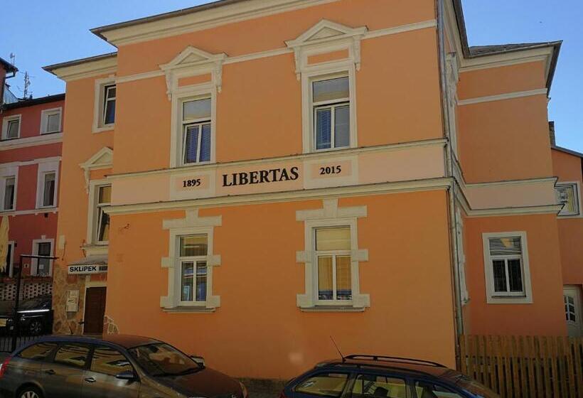 جناح جونيور مزوَّد بتراس, Penzion Libertas Mariánské Lázně