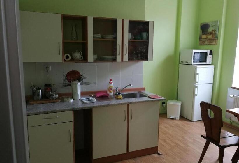 شقة ديلوكس غرفة واحدة, Penzion Libertas Mariánské Lázně