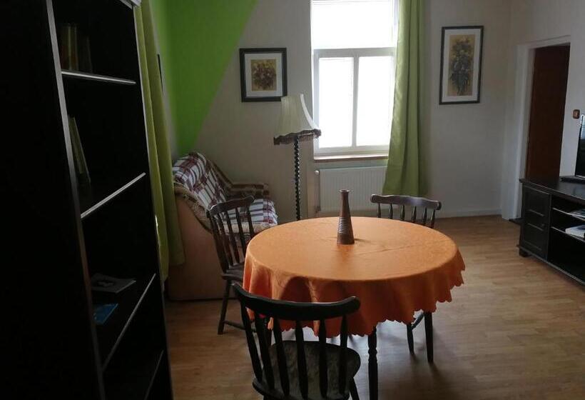 شقة ديلوكس غرفة واحدة, Penzion Libertas Mariánské Lázně