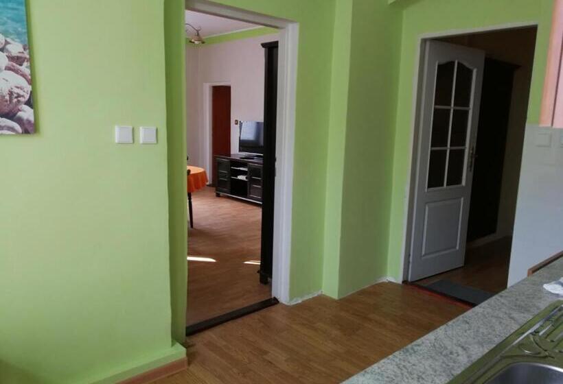 شقة ديلوكس غرفة واحدة, Penzion Libertas Mariánské Lázně