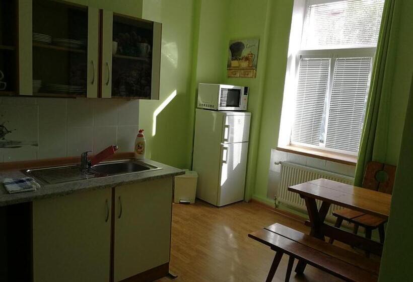 شقة ديلوكس غرفة واحدة, Penzion Libertas Mariánské Lázně