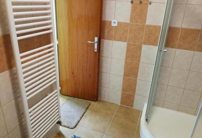 شقة ديلوكس غرفة واحدة, Penzion Libertas Mariánské Lázně