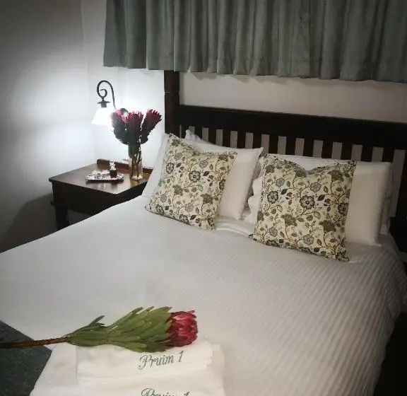 プールビュースタンダードルーム, Van Dykshuis Guest House