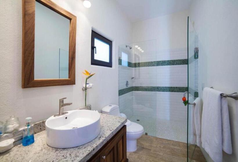 キングサイドベッドのスタンダードワンルーム, La Esquina