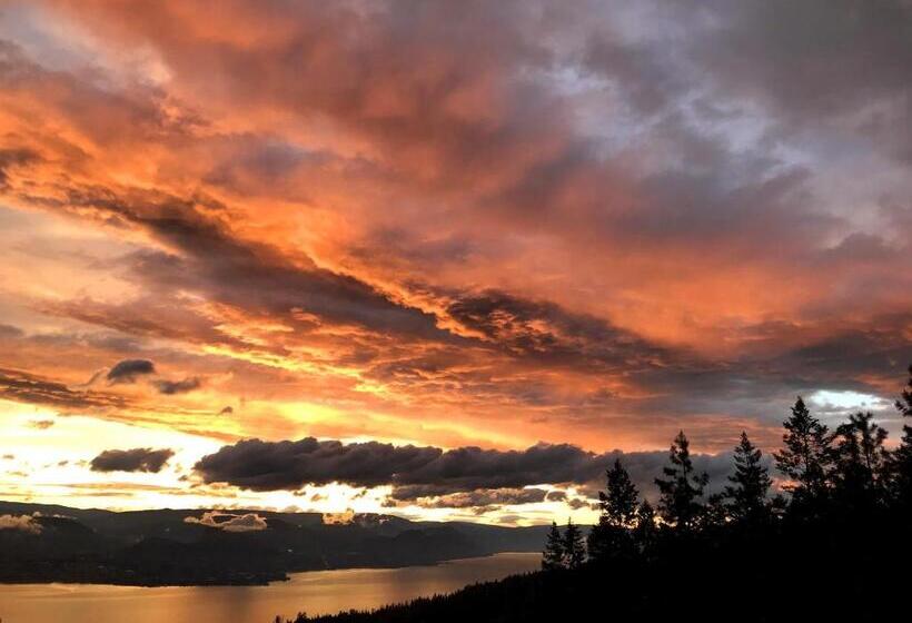 带2个卧室的标准洋房, Crooked Tree Guest Suites