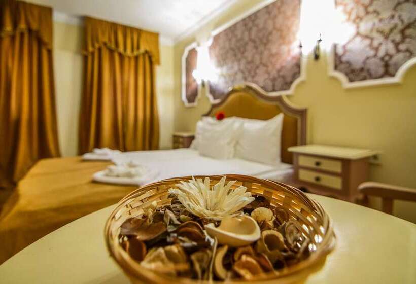 デラックススタジオ, Rosen Villa Sibiu