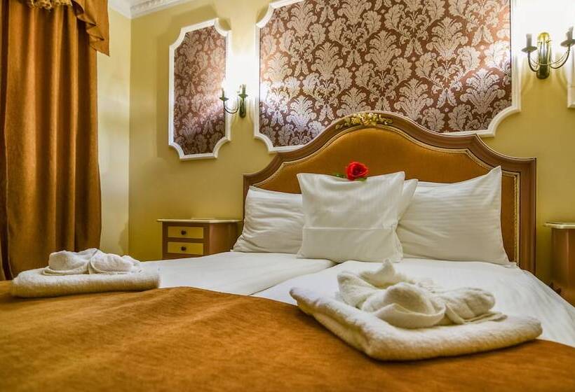 デラックススタジオ, Rosen Villa Sibiu