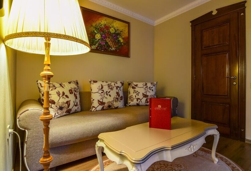 デラックススタジオ, Rosen Villa Sibiu